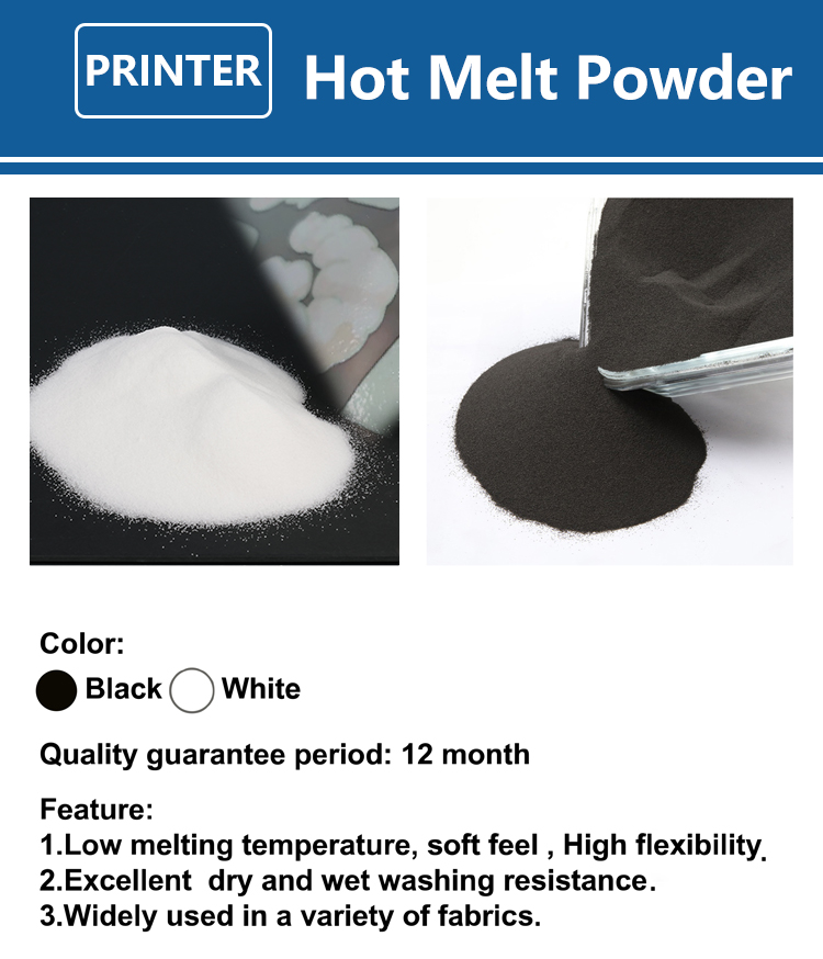 1000g 1kg DTFパウダー 微粉末 フロアシストDT - Solvent Printer Ink のレビューと価格